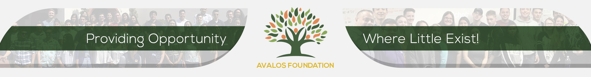 Avalos Foundation - top header
