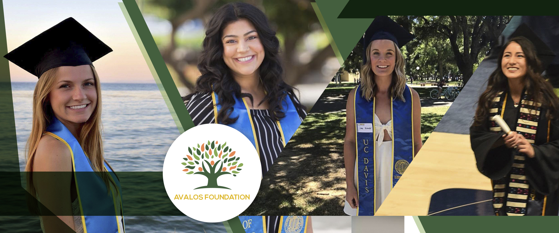 Mentorship career guidance and overall support